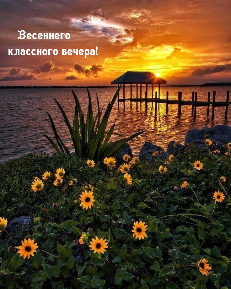 Весеннего классного вечера!