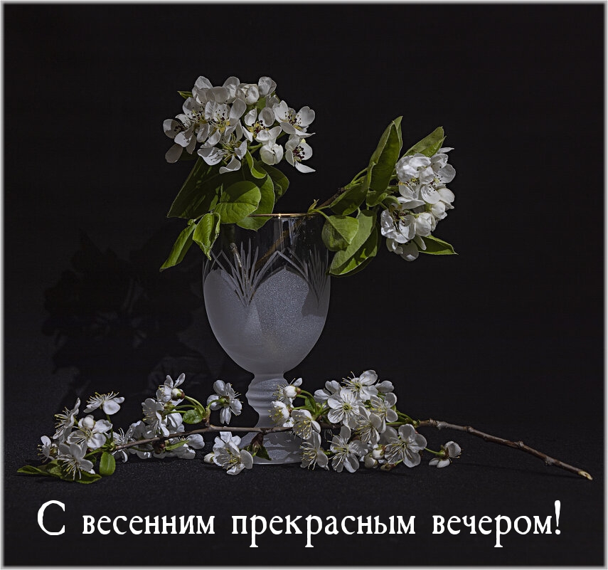 С весенним прекрасным вечером!
