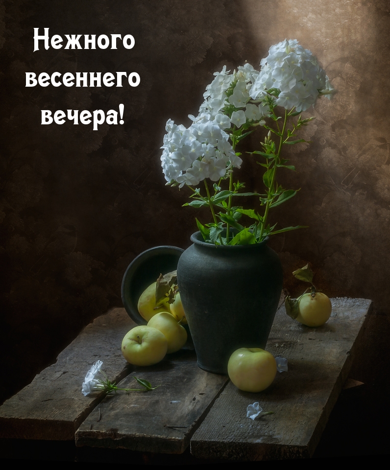 Нежного весеннего вечера!