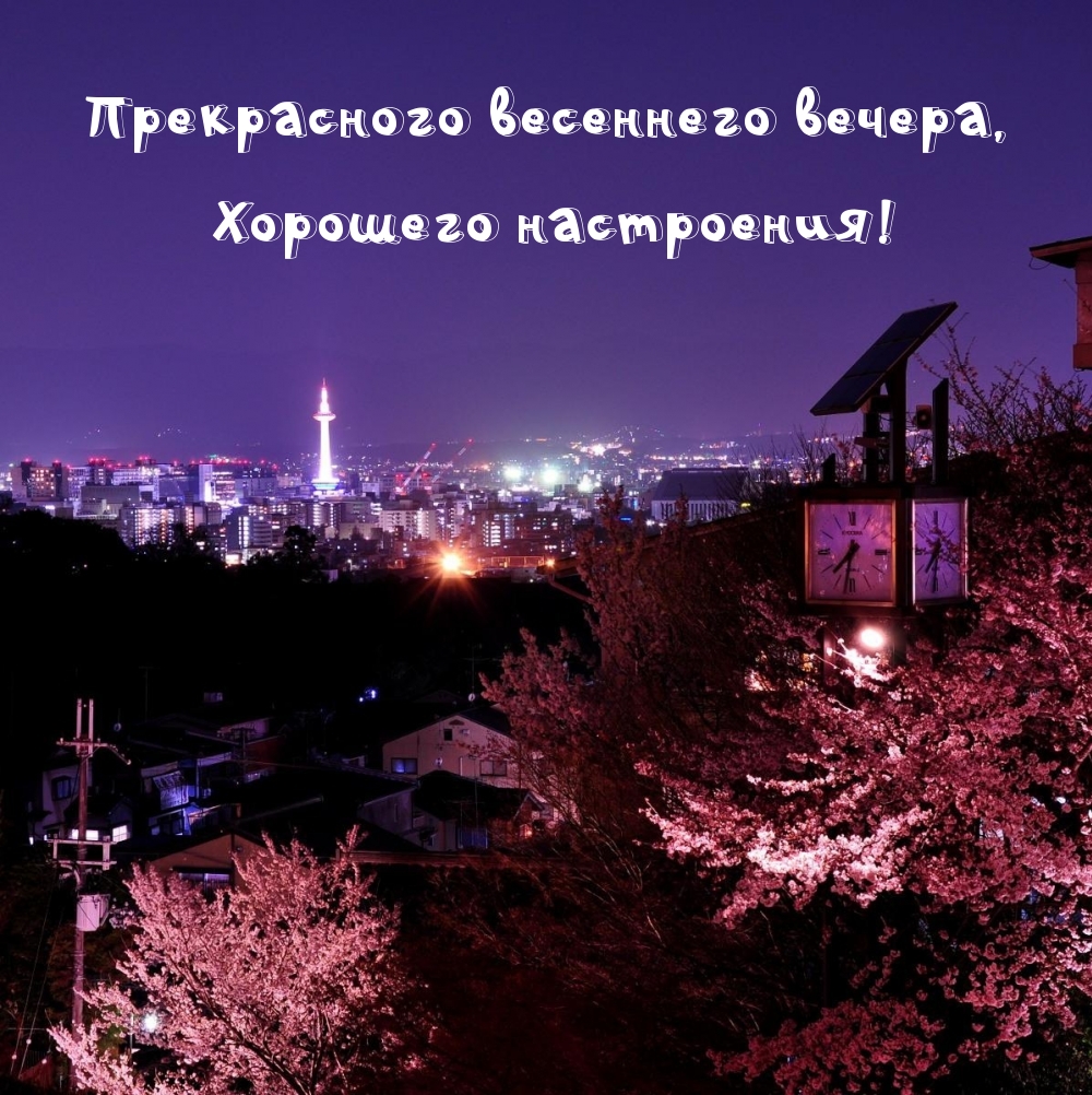 Прекрасного весеннего вечера, хорошего настроения!