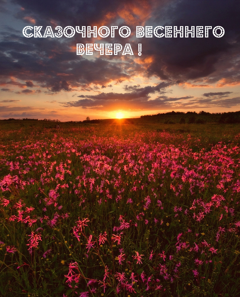 Сказочного весеннего вечера!