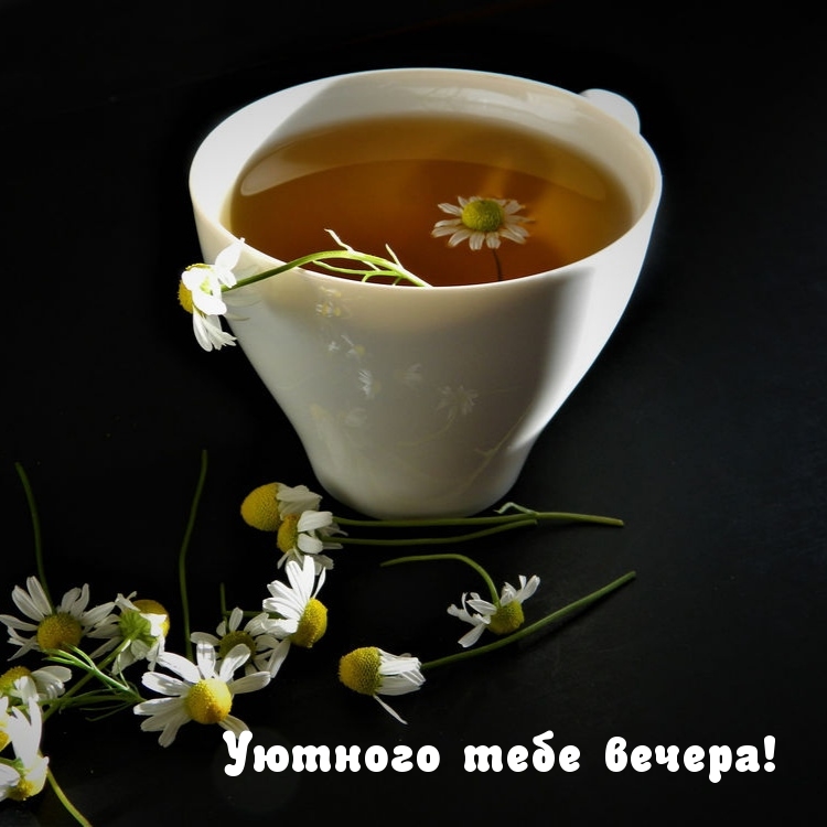 Уютного тебе вечера!