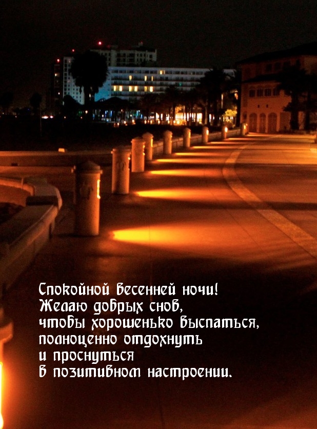 Спокойной весенней ночи! Желаю добрых снов!