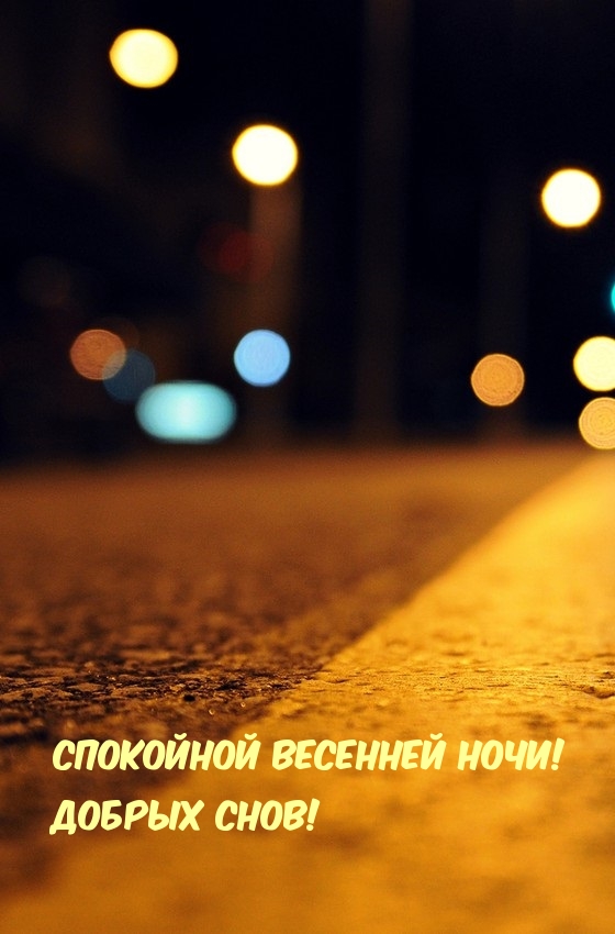 Спокойной весенней ночи! Добрых снов!