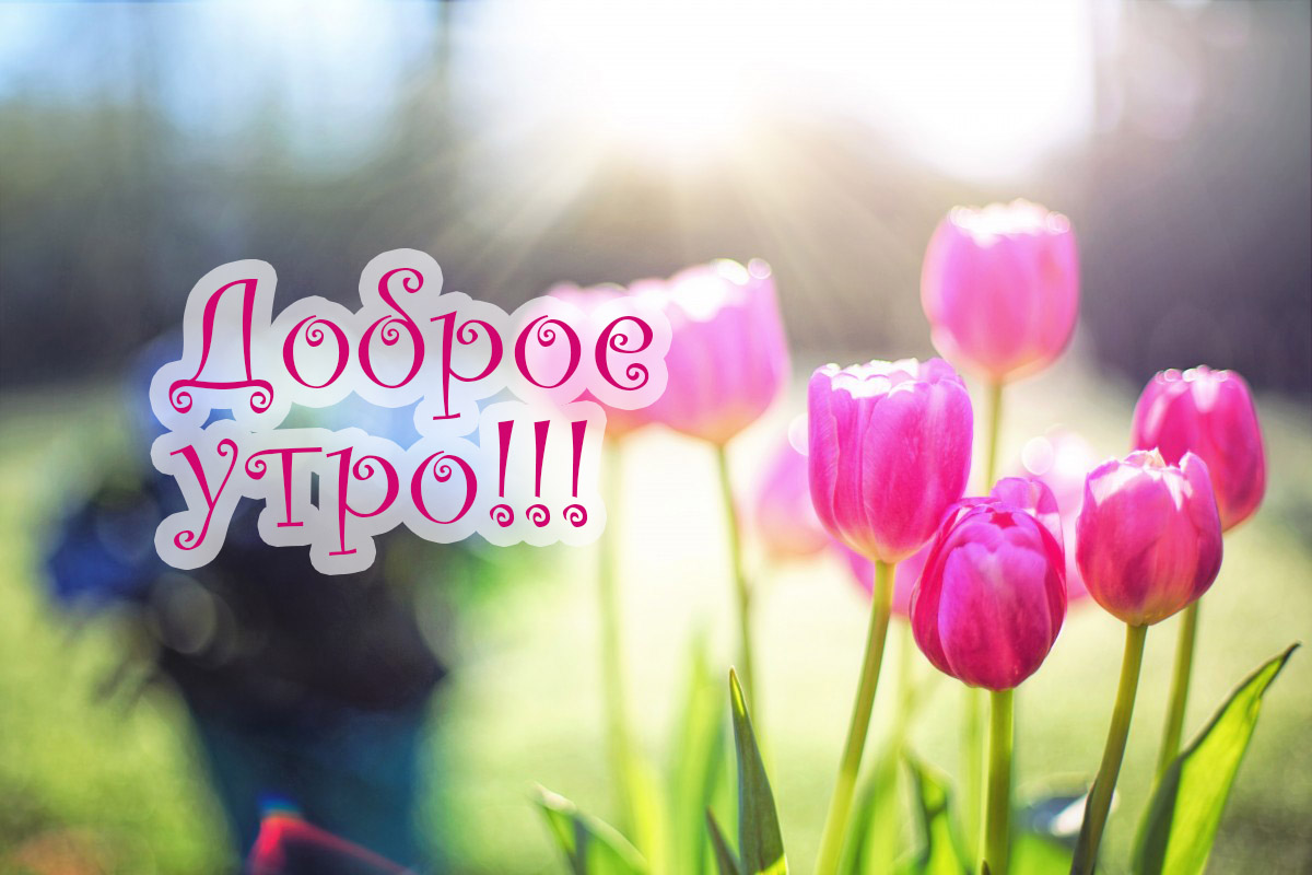 Доброе утро!