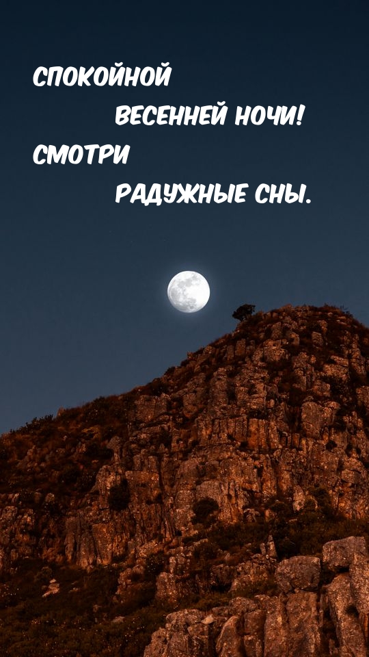 Спокойной весенней ночи! Смотри радужные сны.
