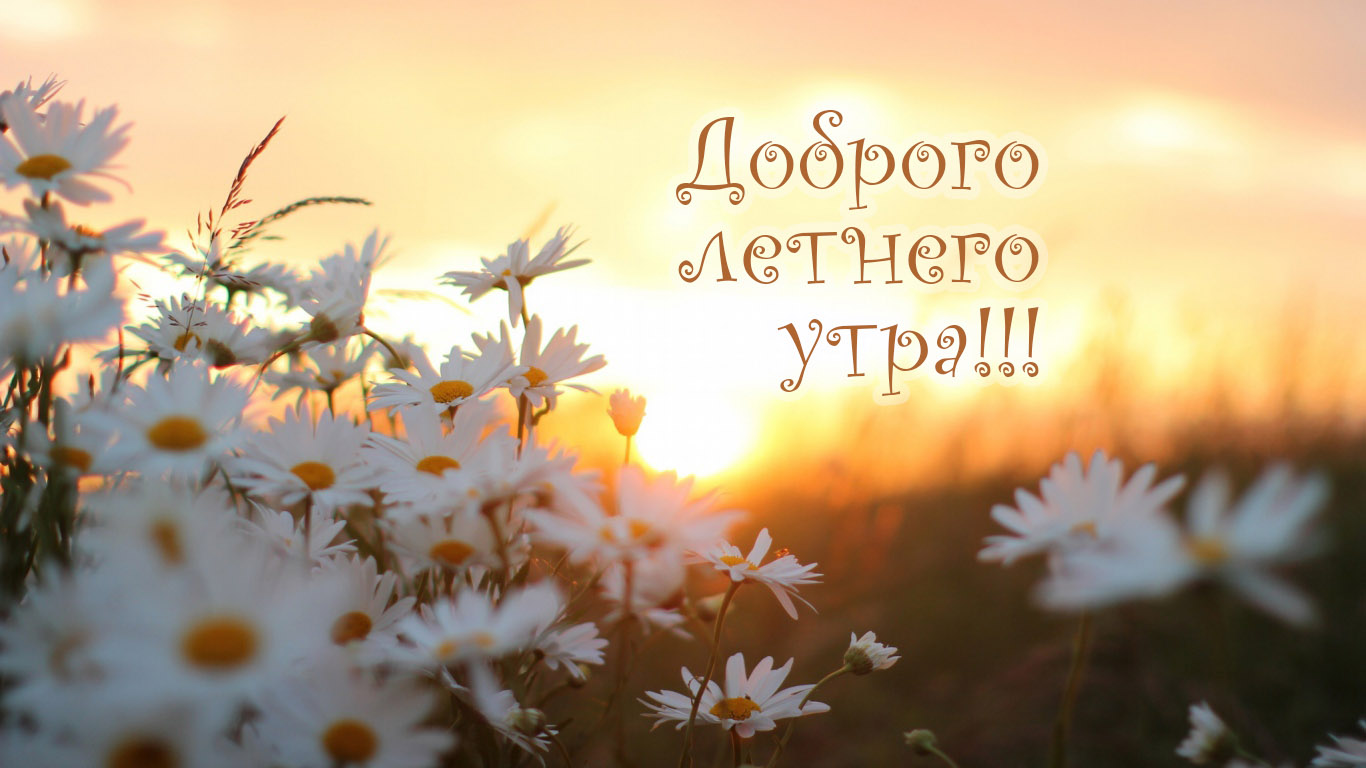 Доброго летнего утра!