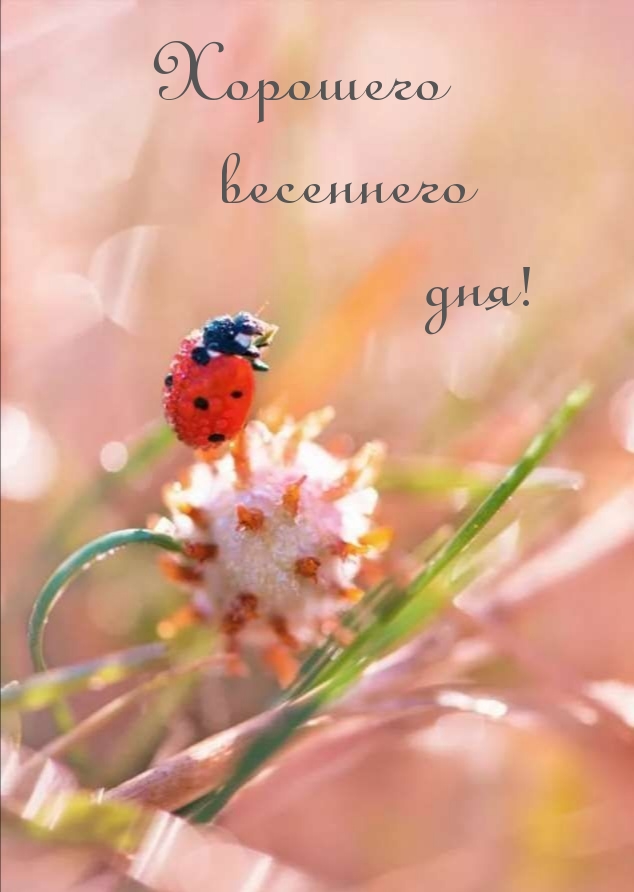 Хорошего весеннего дня!