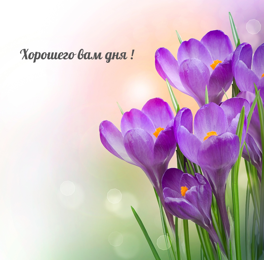 Хорошего вам дня!