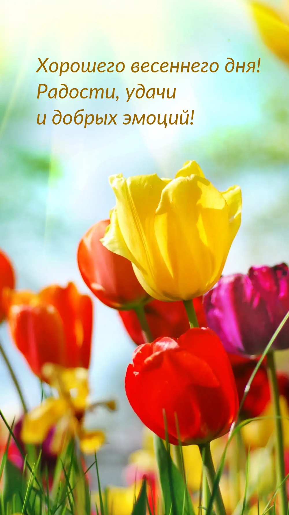 Хорошего весеннего дня! Радости, удачи и добрых эмоций!