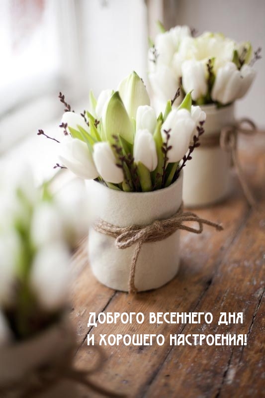 Доброго весеннего дня и хорошего настроения!