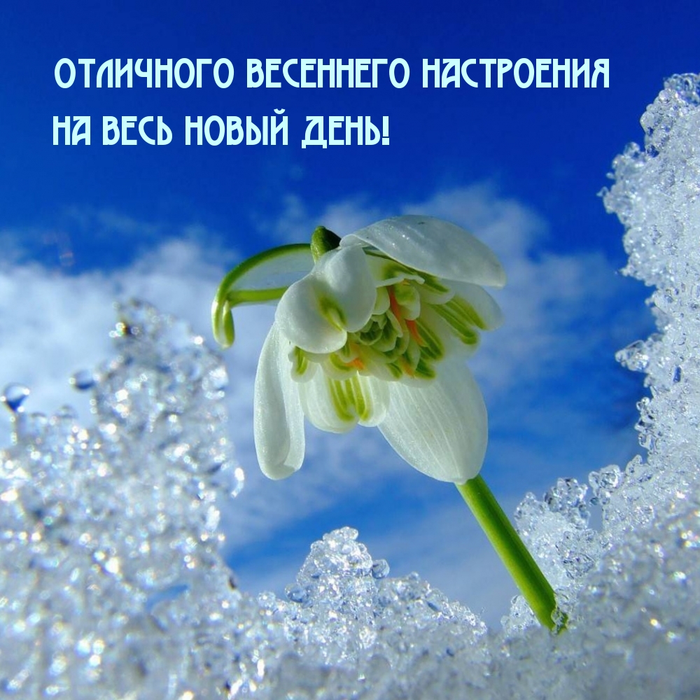 Отличного весеннего настроения на весь новый день!