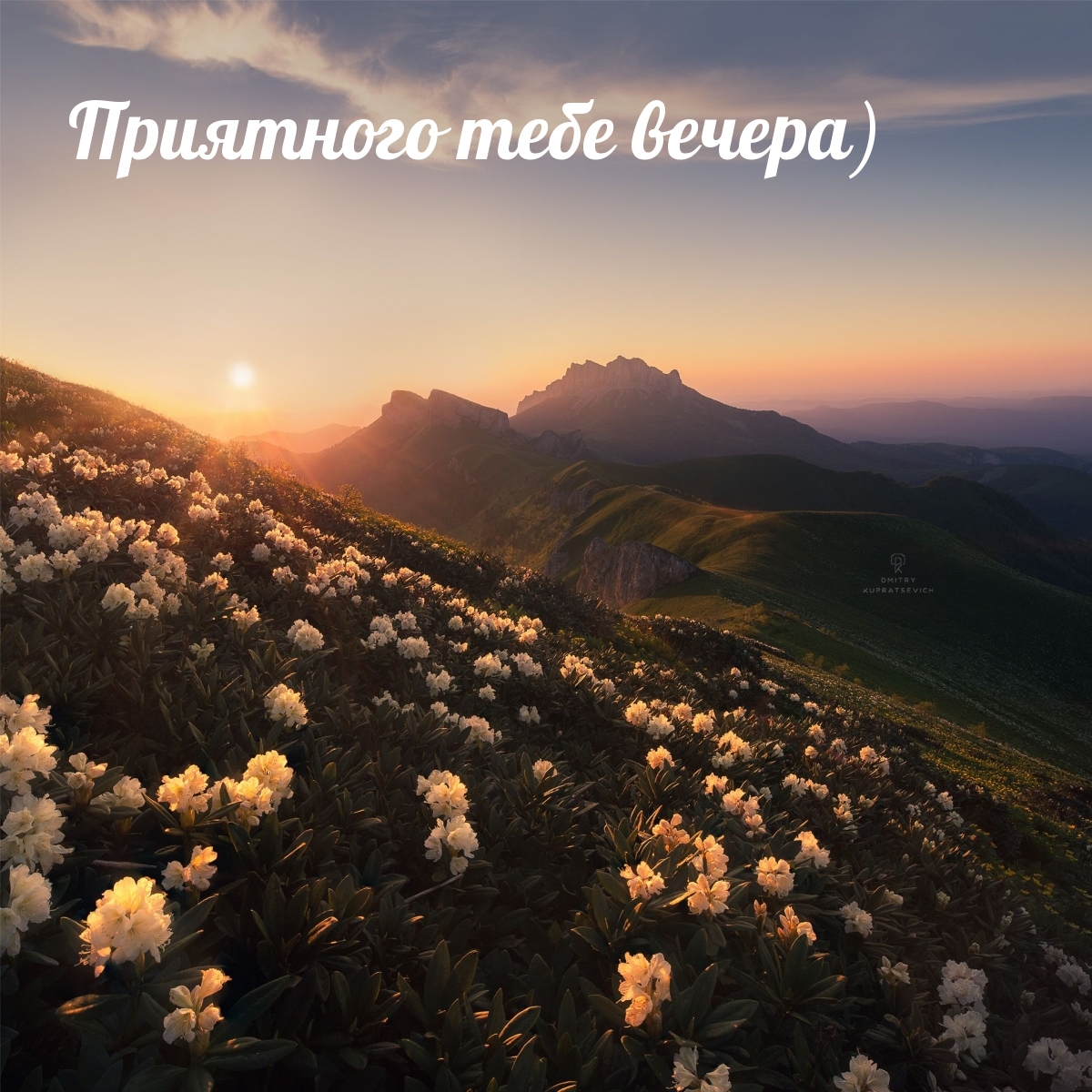 Приятного тебе вечера)