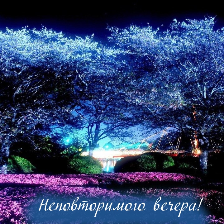 Неповторимого вечера!