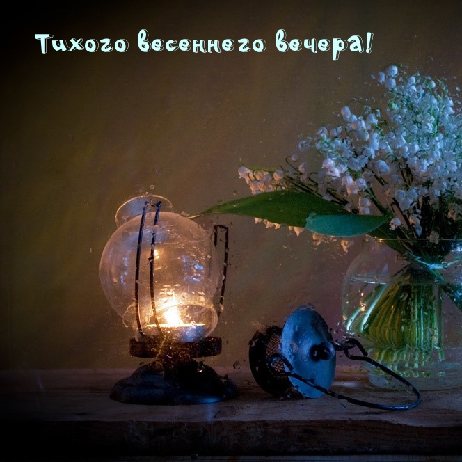 Тихого весеннего вечера!