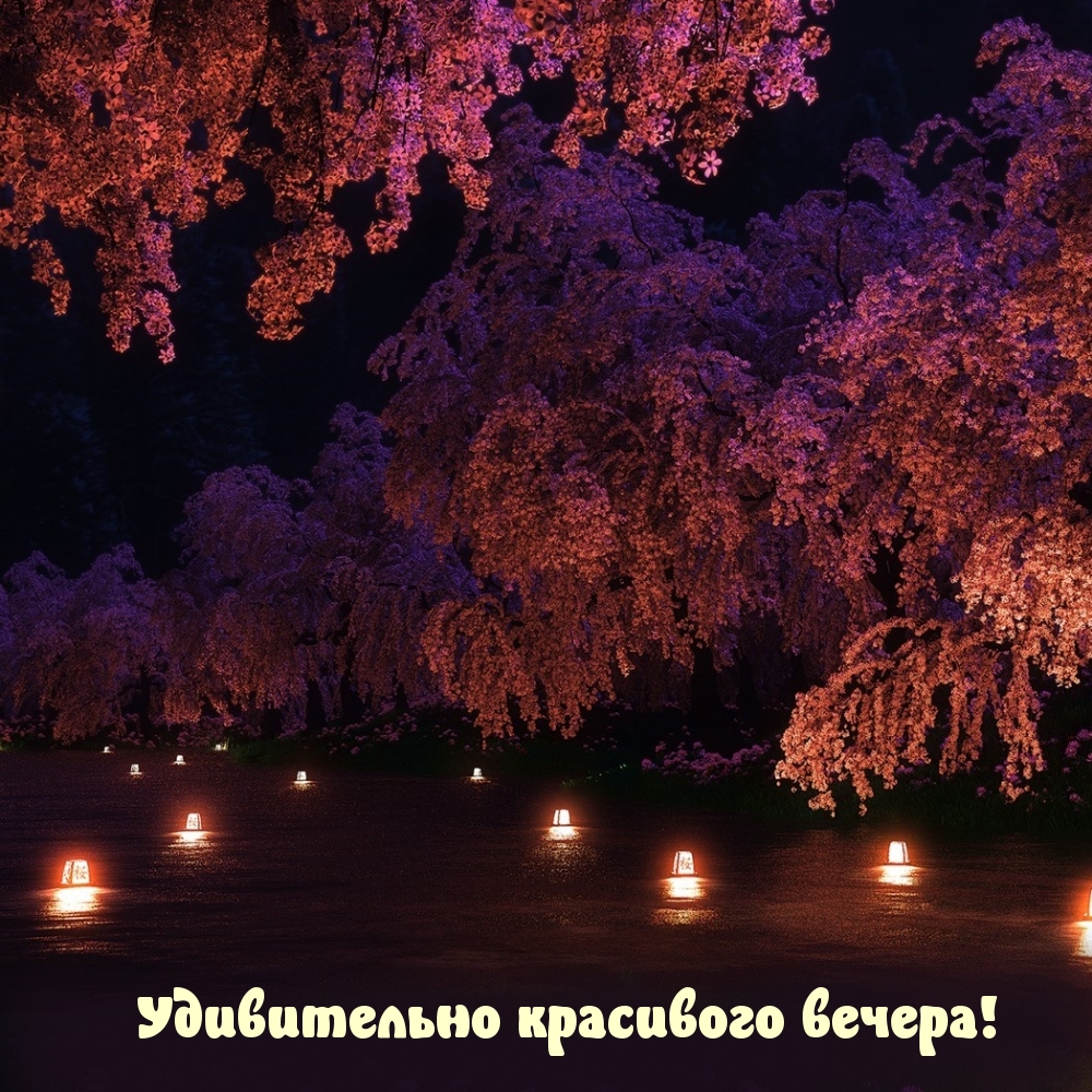 Удивительно красивого вечера!