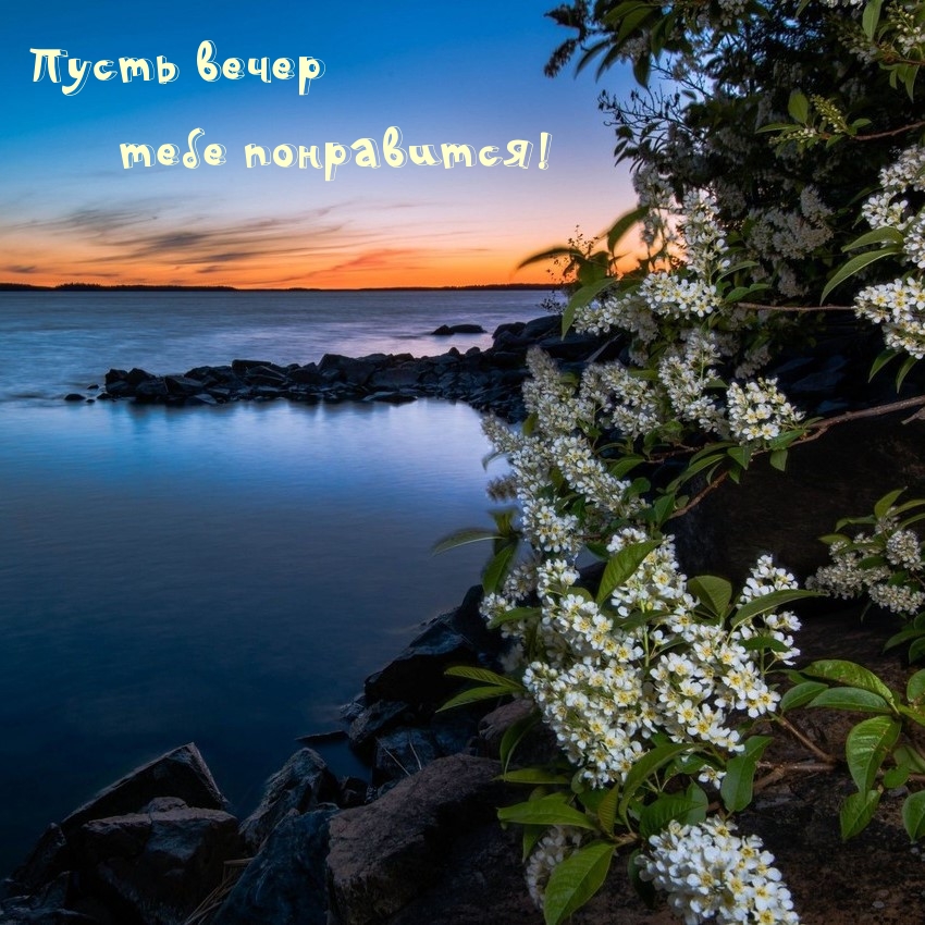 Пусть вечер тебе понравится!