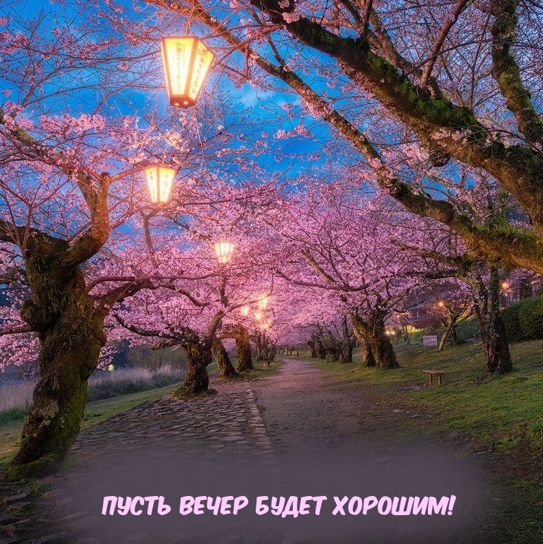 Пусть вечер будет хорошим!