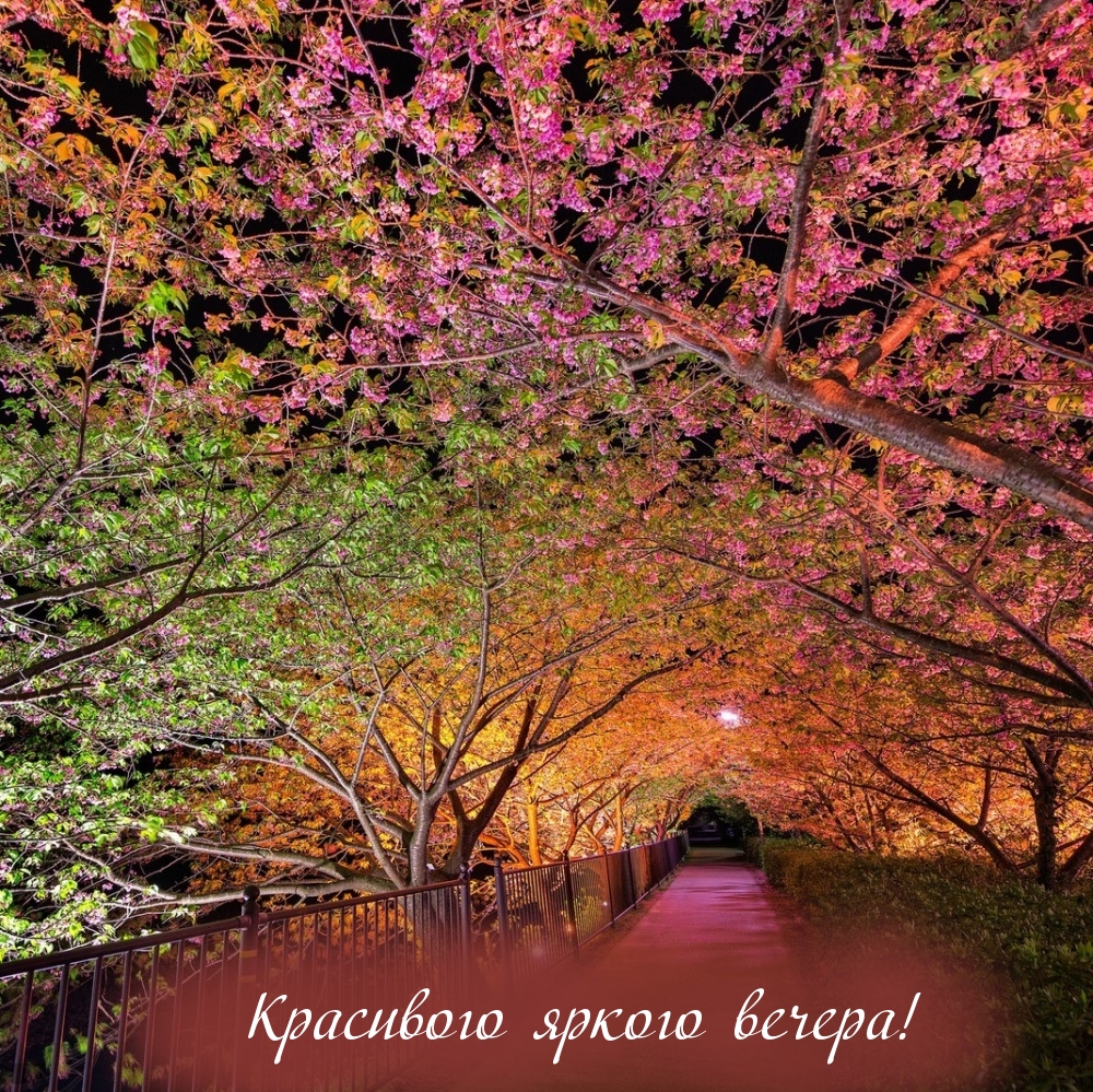Красивого яркого вечера!
