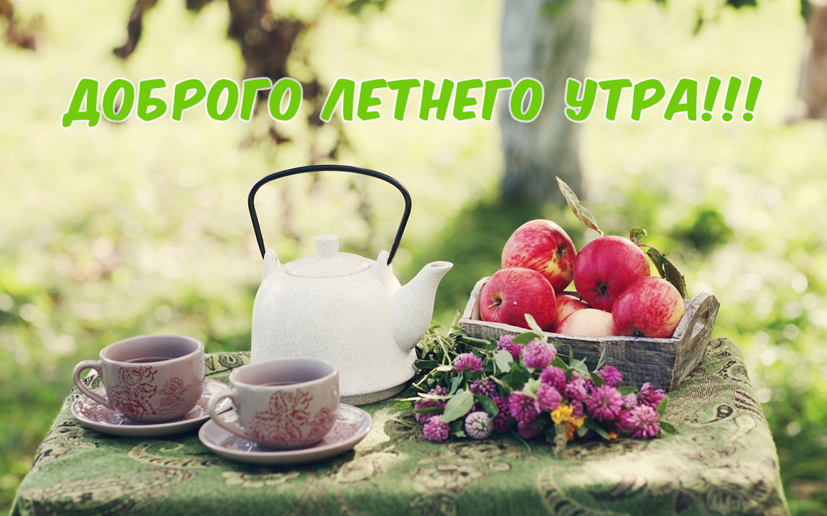 Доброго летнего утра!