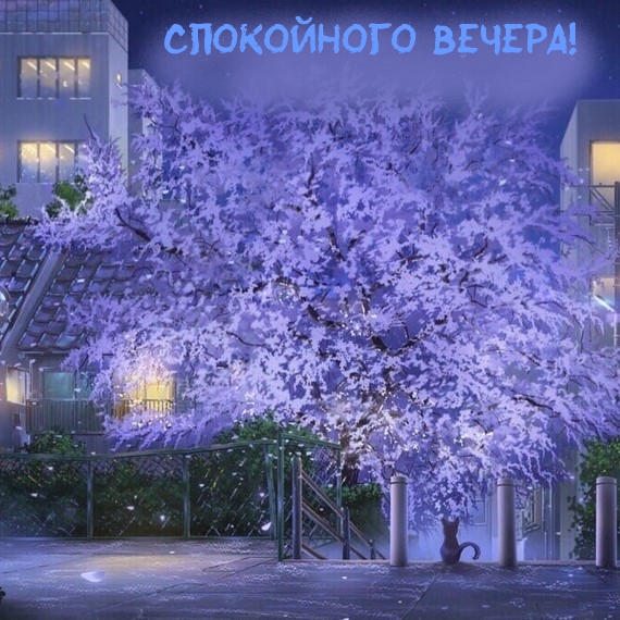 Спокойного вечера!