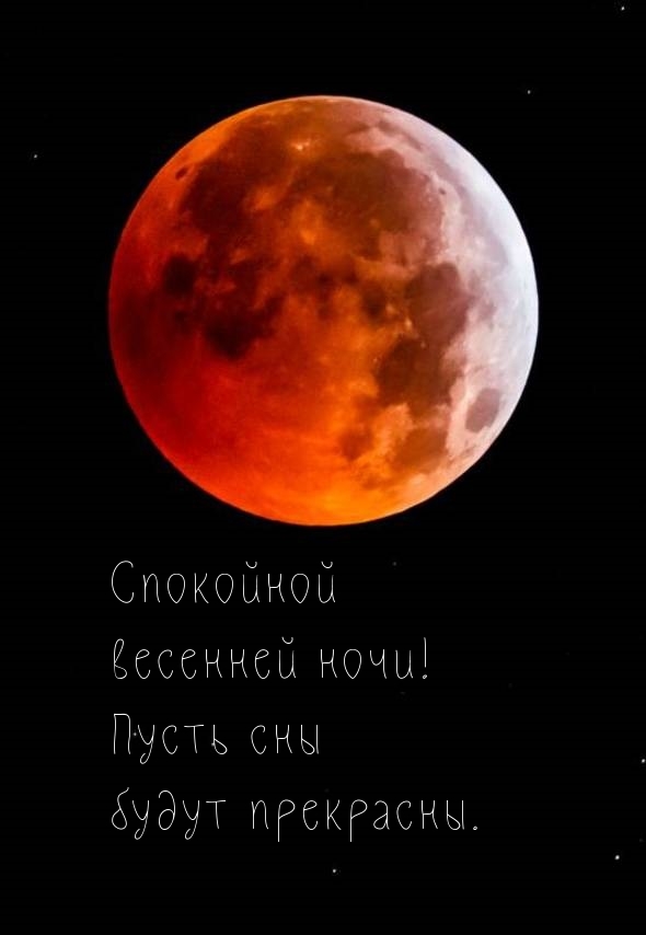 Спокойной весенней ночи! Пусть сны будут прекрасны.
