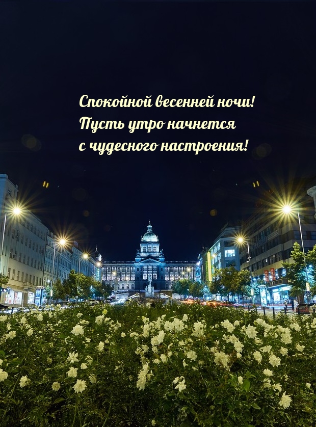 Спокойной весенней ночи! Чудесного настроения!