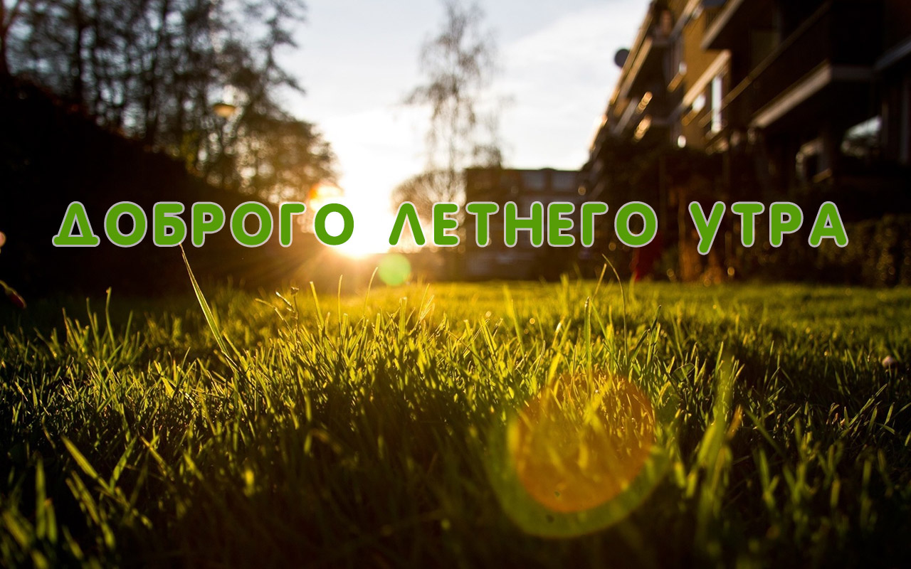 Доброго летнего утра!