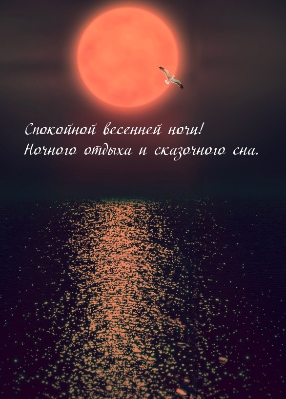 Спокойной весенней ночи! Ночного отдыха и сказочного сна.