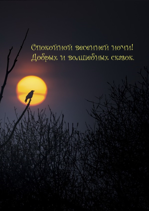 Спокойной весенней ночи! Добрых и волшебных сказок.