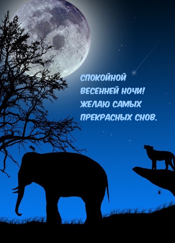 Спокойной весенней ночи! Желаю самых прекрасных снов.