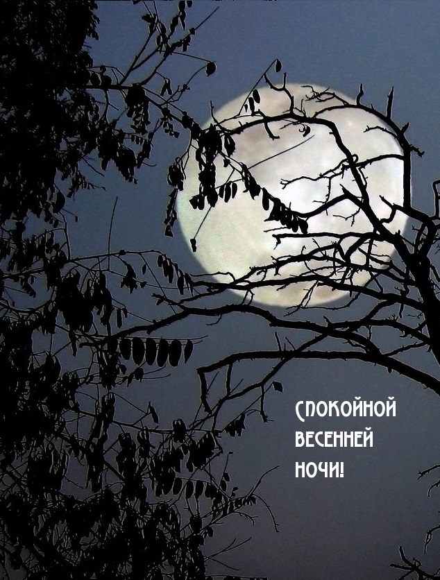 Спокойной весенней ночи!