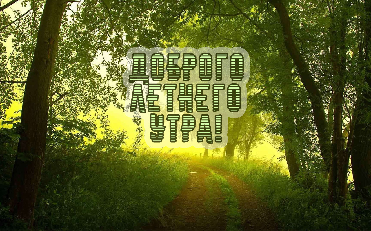 Доброго летнего утра!