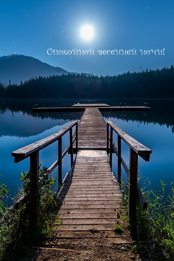 Спокойной весенней ночи!