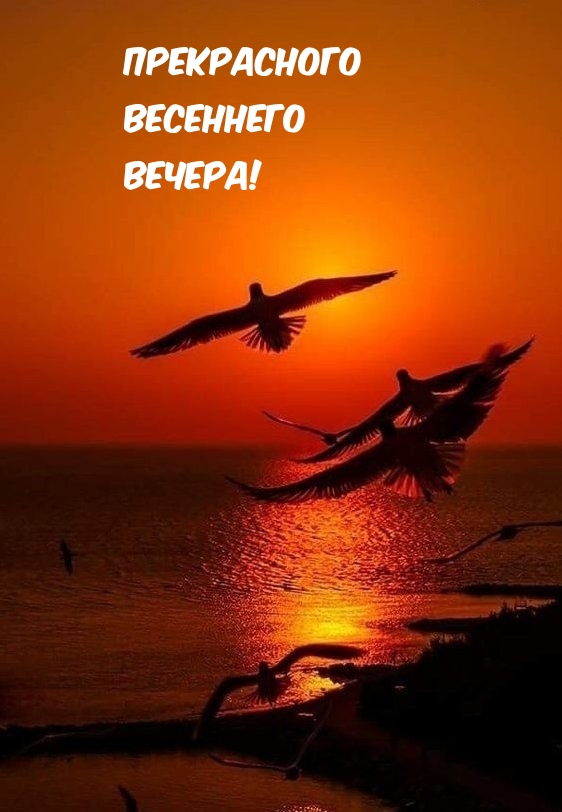 Прекрасного весеннего вечера!