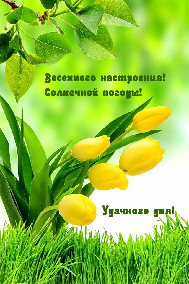 Весеннего настроения! Удачного дня!