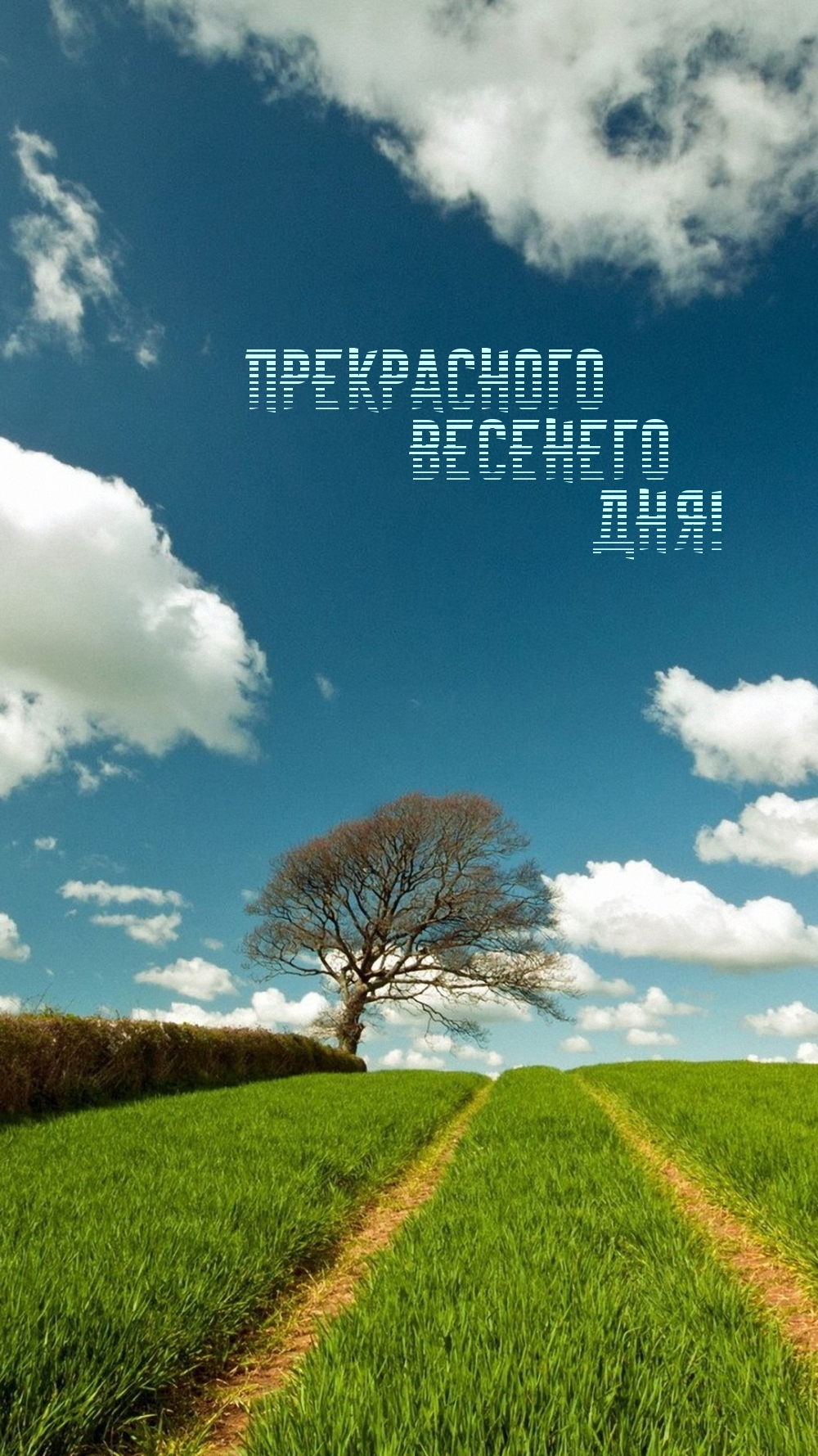 Прекрасного весенего дня!