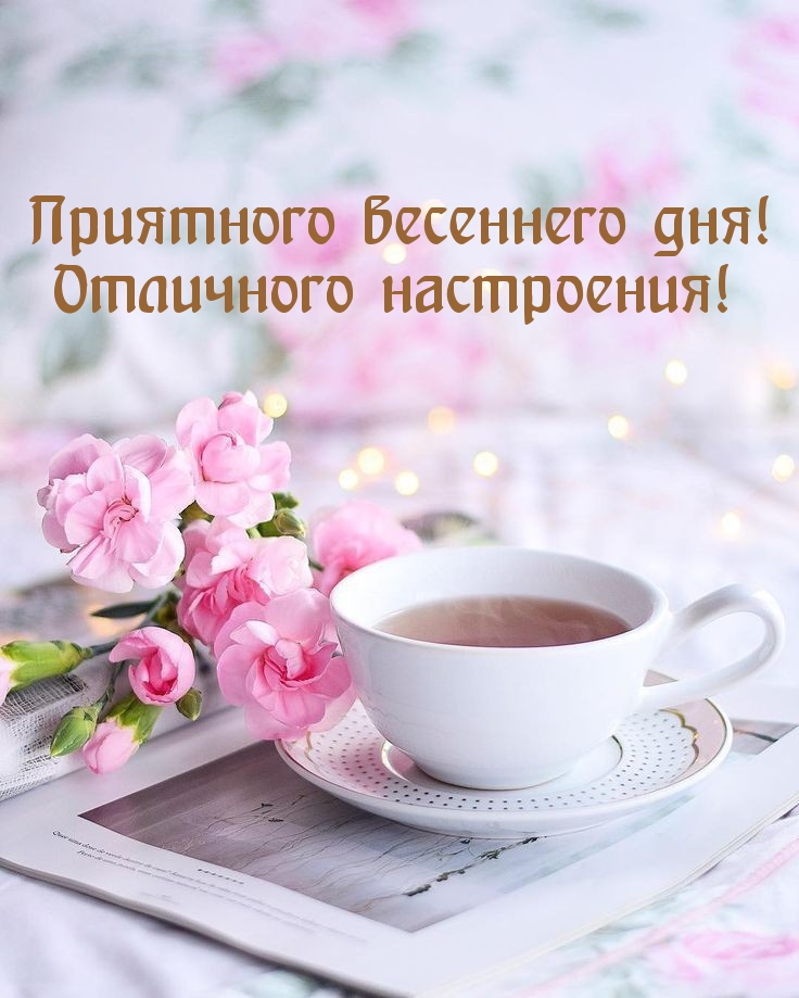 Приятного весеннего дня! Отличного настроения!