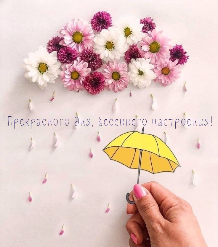 Прекрасного дня, весеннего настроения!