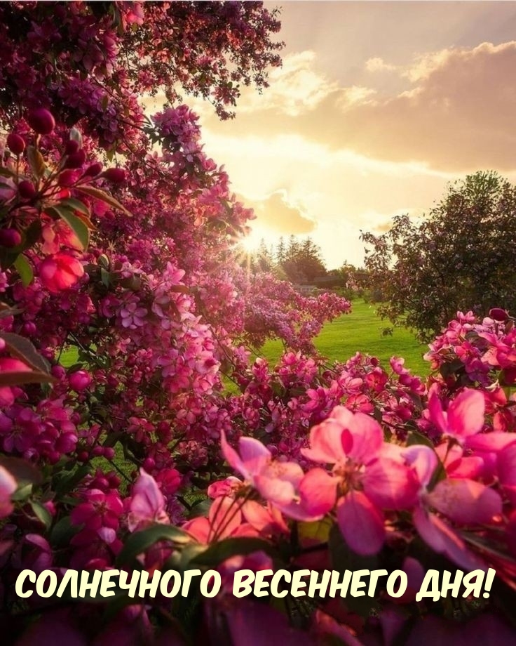 Солнечного весеннего дня!