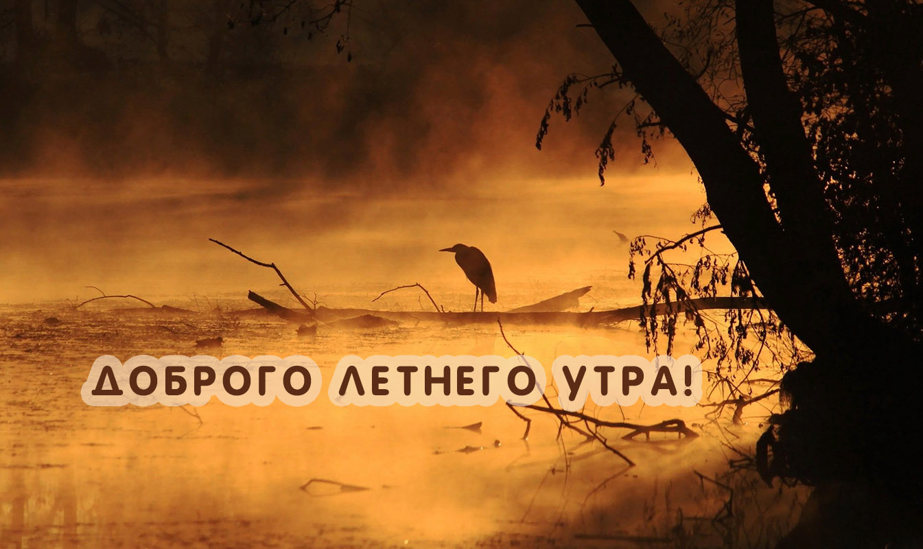 Доброго летнего утра!