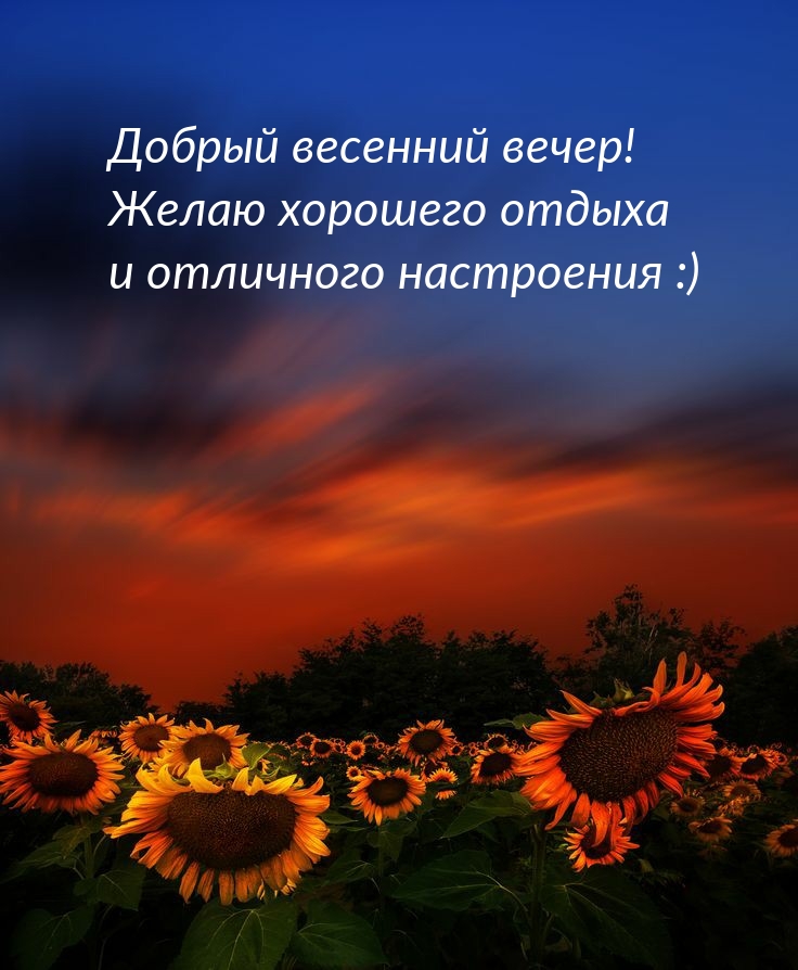 Добрый весенний вечер! Желаю хорошего отдыха