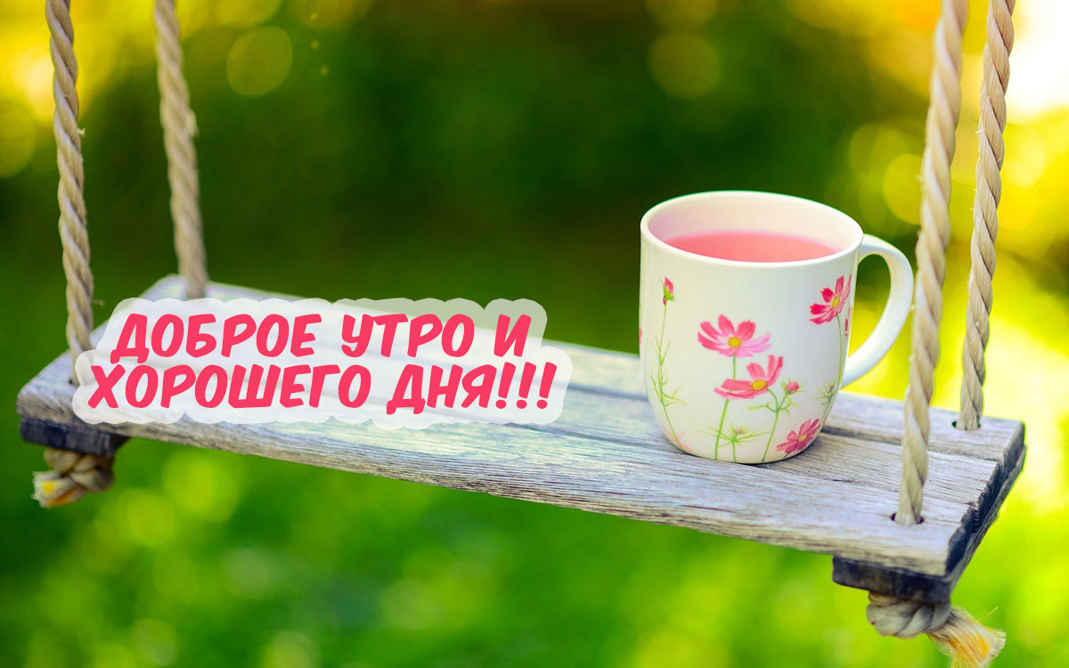Доброго утра и хорошего дня