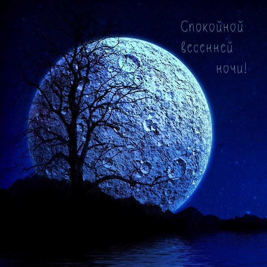 Спокойной весенней ночи!