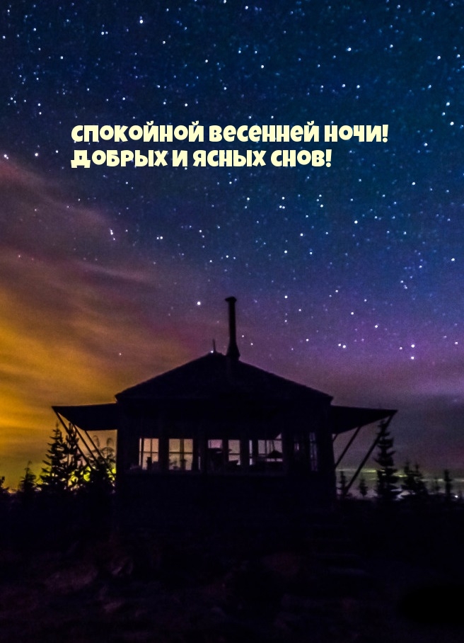 Картинка - Спокойной весенней ночи! добрых и ясных снов!.