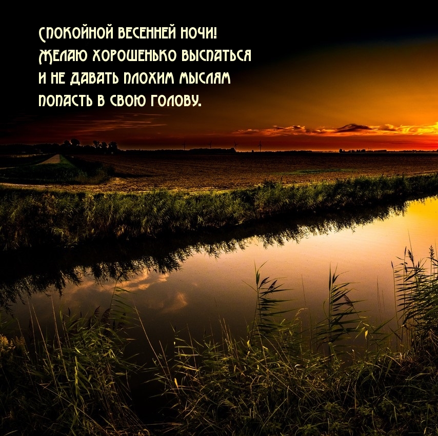 Спокойной весенней ночи! Желаю хорошенько выспаться