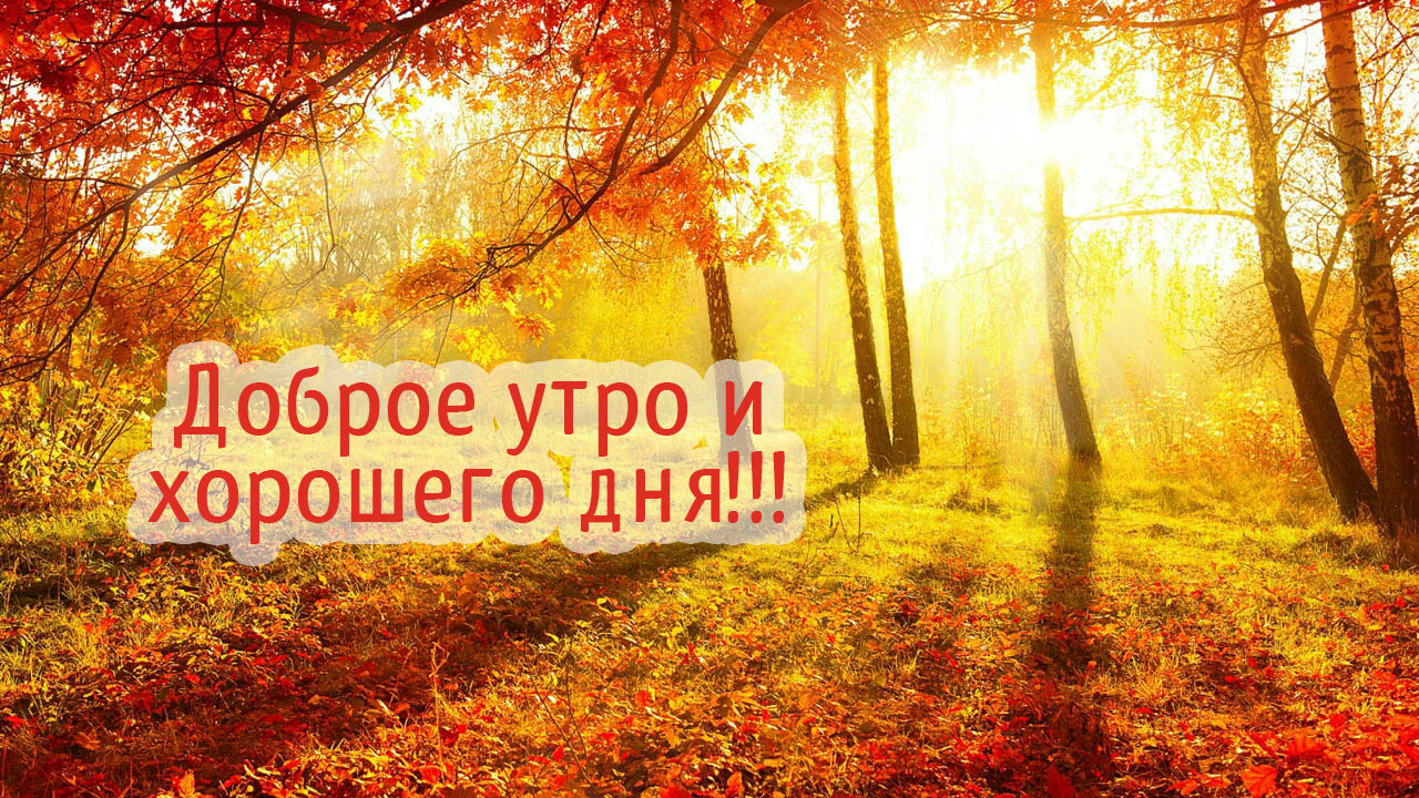 Доброе утро и хорошего дня!