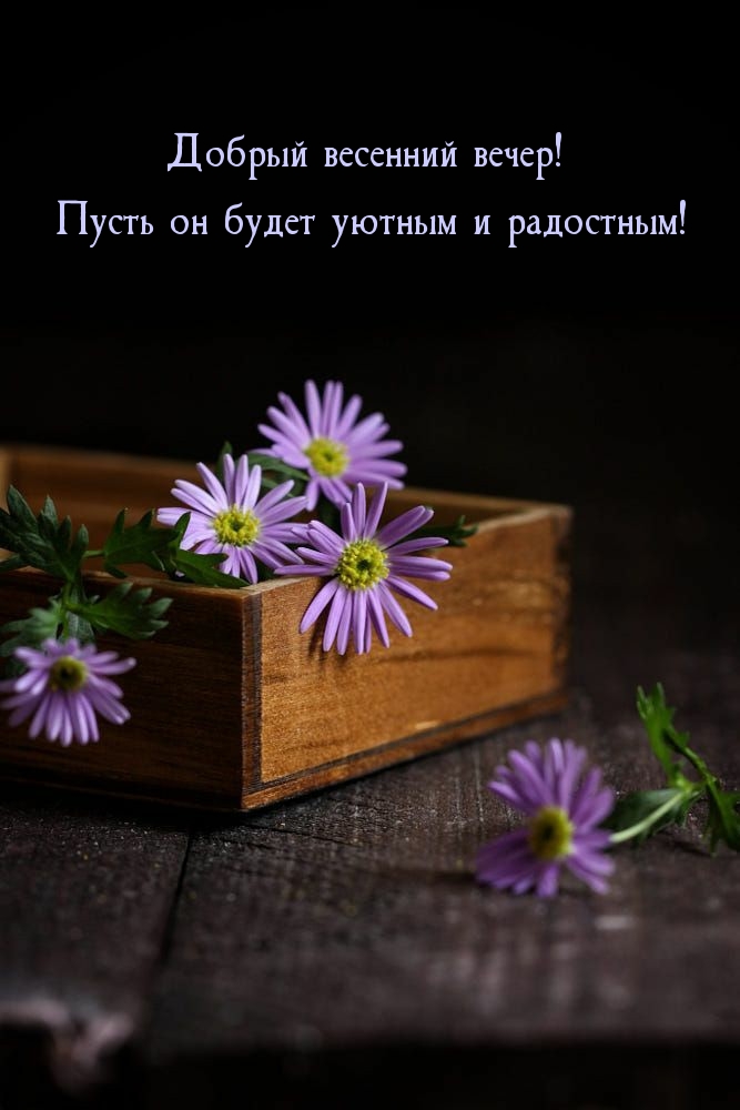 Добрый весенний вечер! Пусть он будет уютным и радостным!