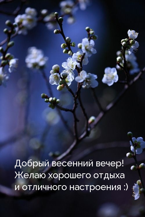 Желаю хорошего отдыха! Добрый весенний вечер!