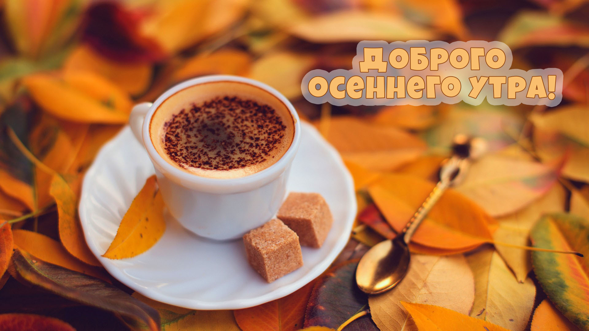 Доброго осеннего утра!